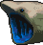 File:Basking shark portrait.png