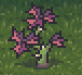 Prickle berries.png