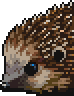 Hedgehog portrait.png
