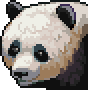 Panda portrait anim.gif
