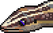 Skink portrait.png