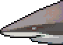 Whitetip reef shark portrait.png