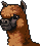 Alpaca portrait anim.gif