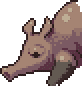 Aardvark portrait anim.gif