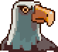 Eagle portrait anim.gif
