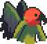 Peach faced lovebird man portrait.png