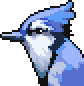 Bluejay portrait.png
