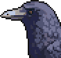 Crow portrait.png