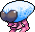 Ostenocaris portrait anim.gif