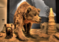 Blind cave bear preview.png