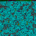 Thumbnail for version as of 21:16, 3 April 2011