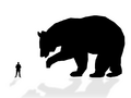 Giant black bear.png