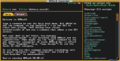 Thumbnail for version as of 07:05, 8 September 2023