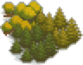 Forest v50 preview.png