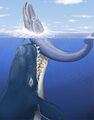 Giant sperm whale.jpg