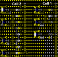 Addition cell 1&2.GIF