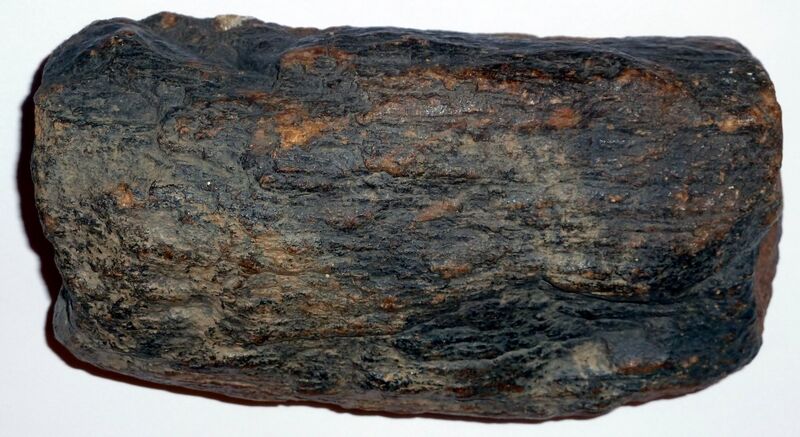 File:Petrified Wood.jpg