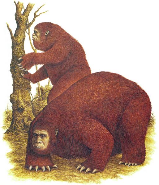 File:Sloth man.jpg