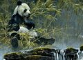 Gigantic panda preview.jpg