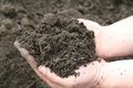 Silty clay loam.jpg