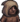 Portrait hood.png