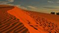 Red sand2.jpg