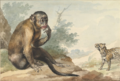 Thumbnail for version as of 20:05, 6 August 2024
