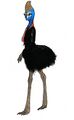 Cassowary lady.jpg