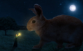 Giant hare preview.png