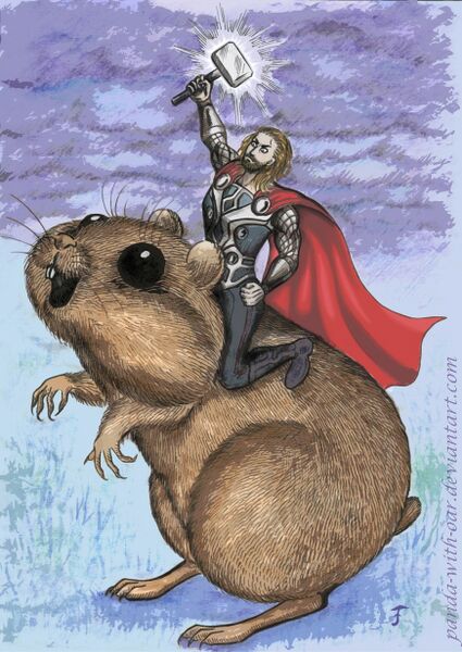 File:Giant hamster.jpg