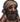 Portrait headscarf.png