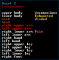 Dwarf2 injury.gif