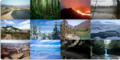 Biome collage.png