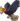 Giant hornbill sprite.png