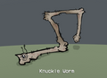 Knuckle worm preview.png
