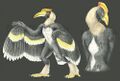 Hornbill man.jpg