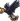 Hornbill sprite.png