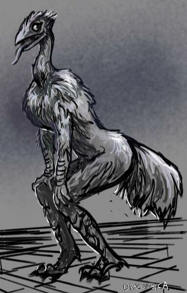 File:Emu man.jpg