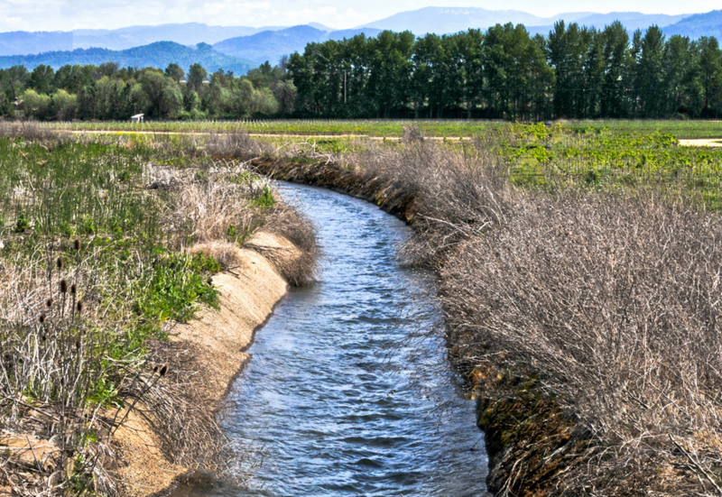 File:Irrigation preview.png