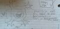Thumbnail for version as of 23:10, 7 July 2024