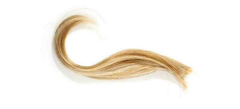 File:Hair2.jpg
