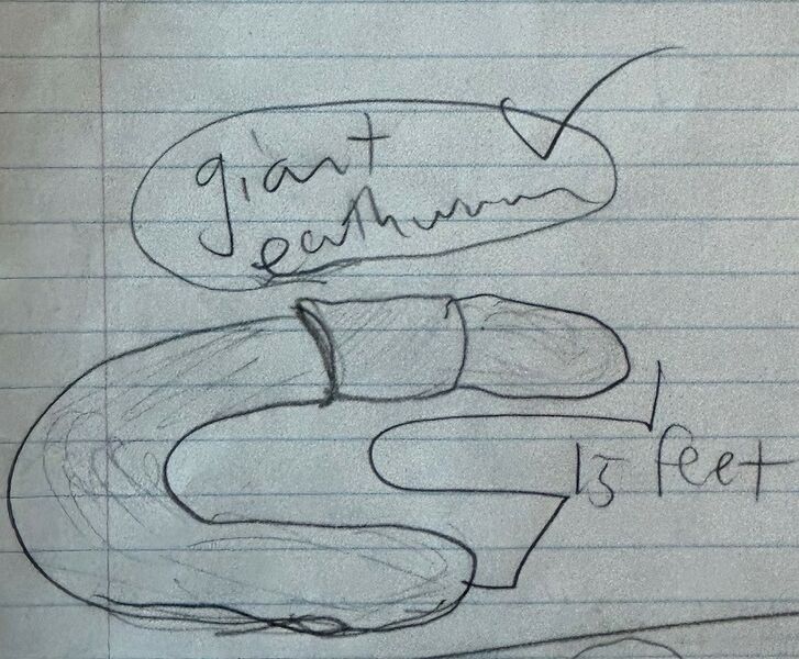 File:Notebook 13 GiantEarthworm.jpg