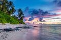 Tropical-beach-1454007190ZAK.jpg